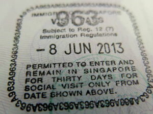 Singapore Work Visa Sponsorship: Types, Application Process, Costs & Settling In